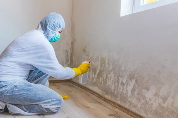 Licensed Bathroom Mold Removal service in Warriors Mark, PA - WQB Mold Removal