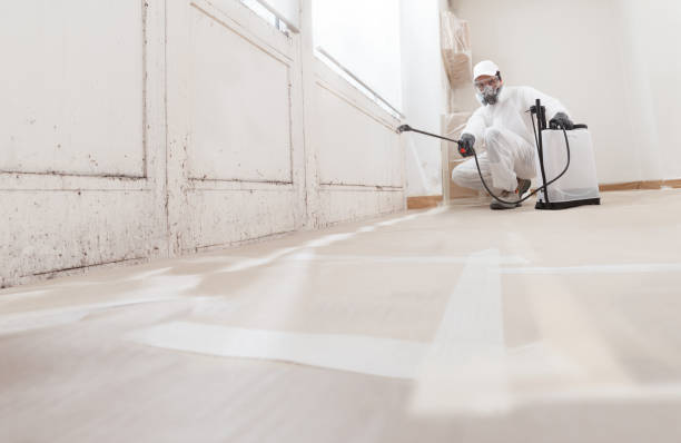 24/7 Emergency Bathroom Mold Removal experts in Warriors Mark, PA