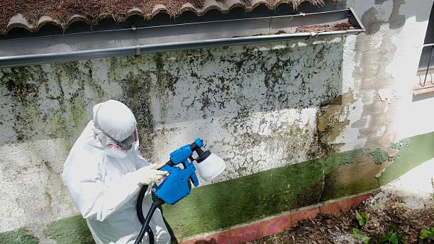 Top rated local Bathroom Mold Removal specialists in Warriors Mark, PA